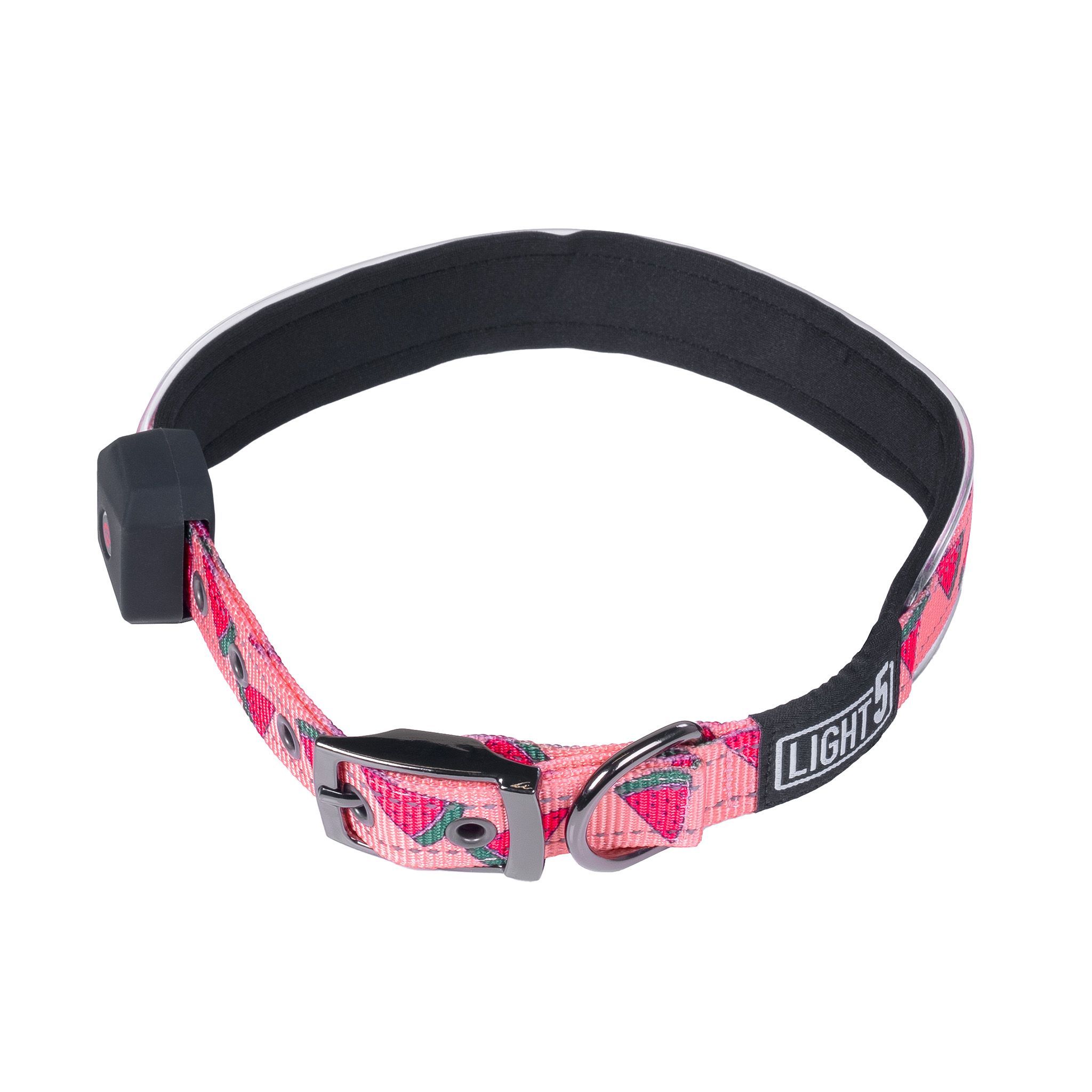 Hundhalsband Light5 Doggo LED Collar, Pink, M