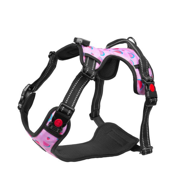 Harness Light5 Doggo Led Harness, Pink, XL afbeelding