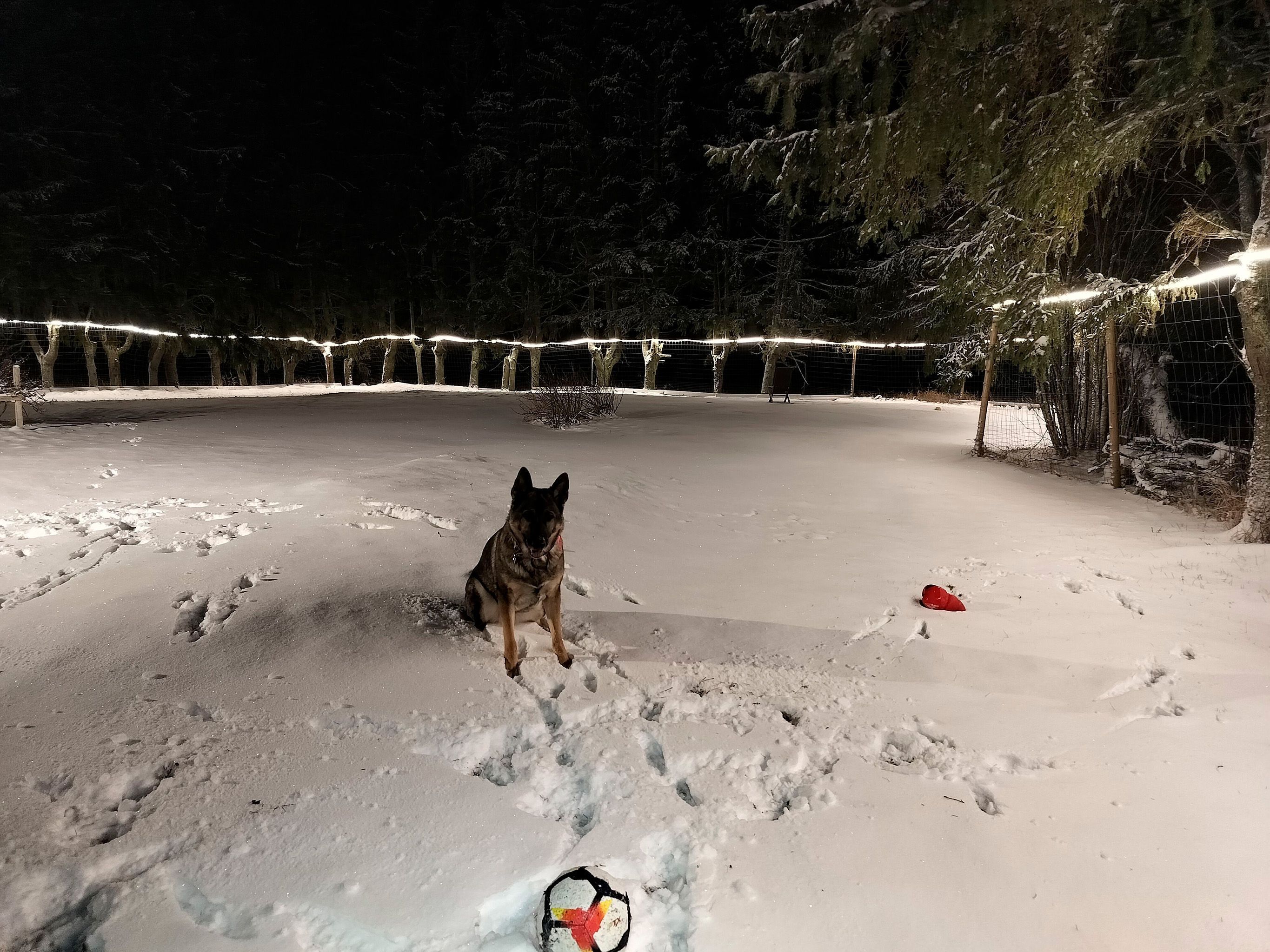 LED-nauhasetti AGGE Lite 230V - 400 lm/m, 250 m, 3000K