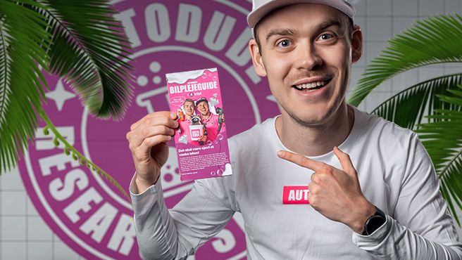 Bilplejeguide