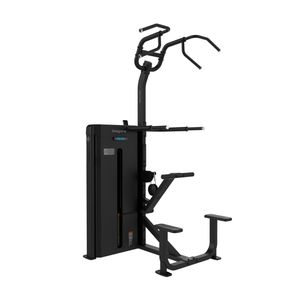 Avustettu Dippi- ja Leuanvetolaite Bodytone FB13, 106kg Painopakalla