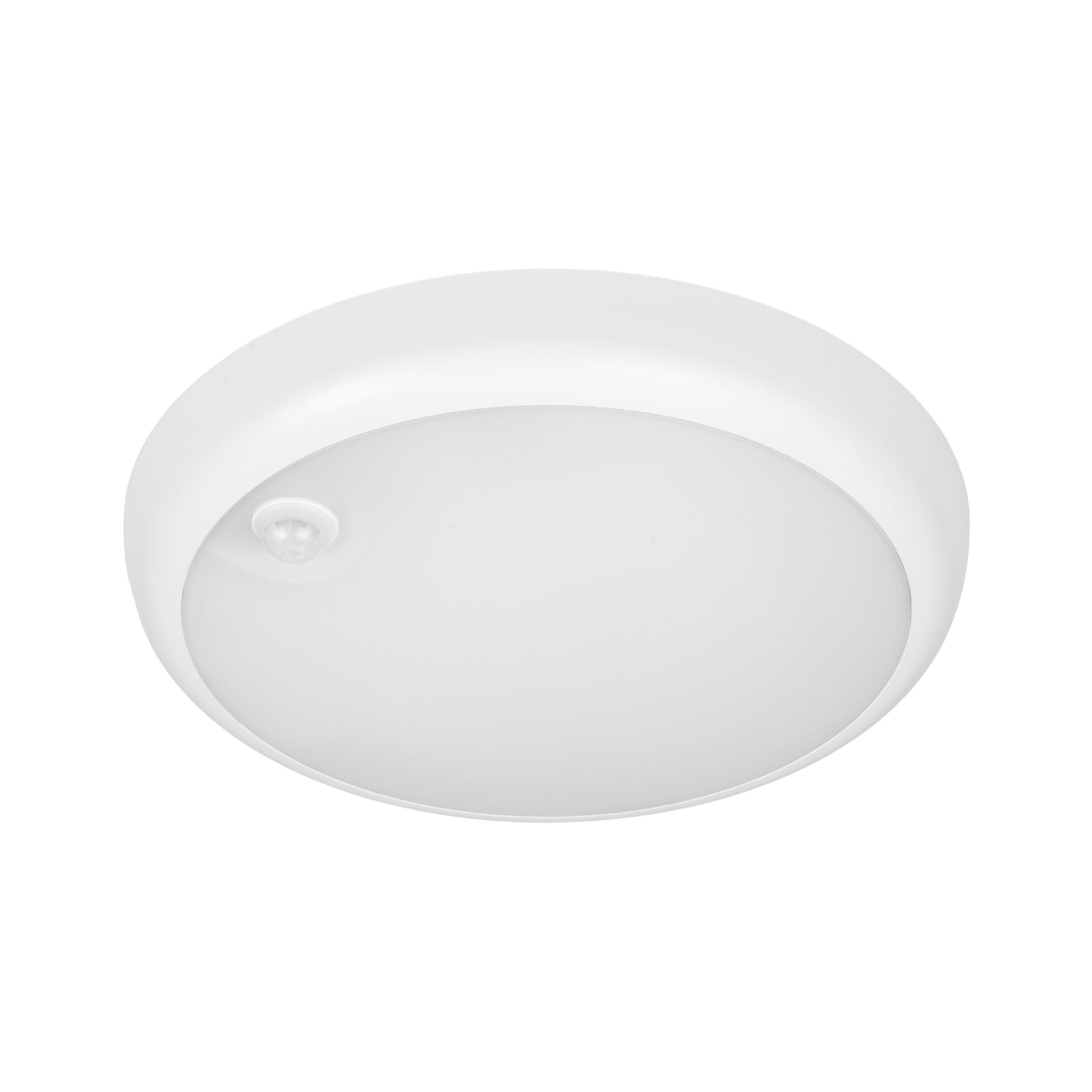 Light with motion sensor