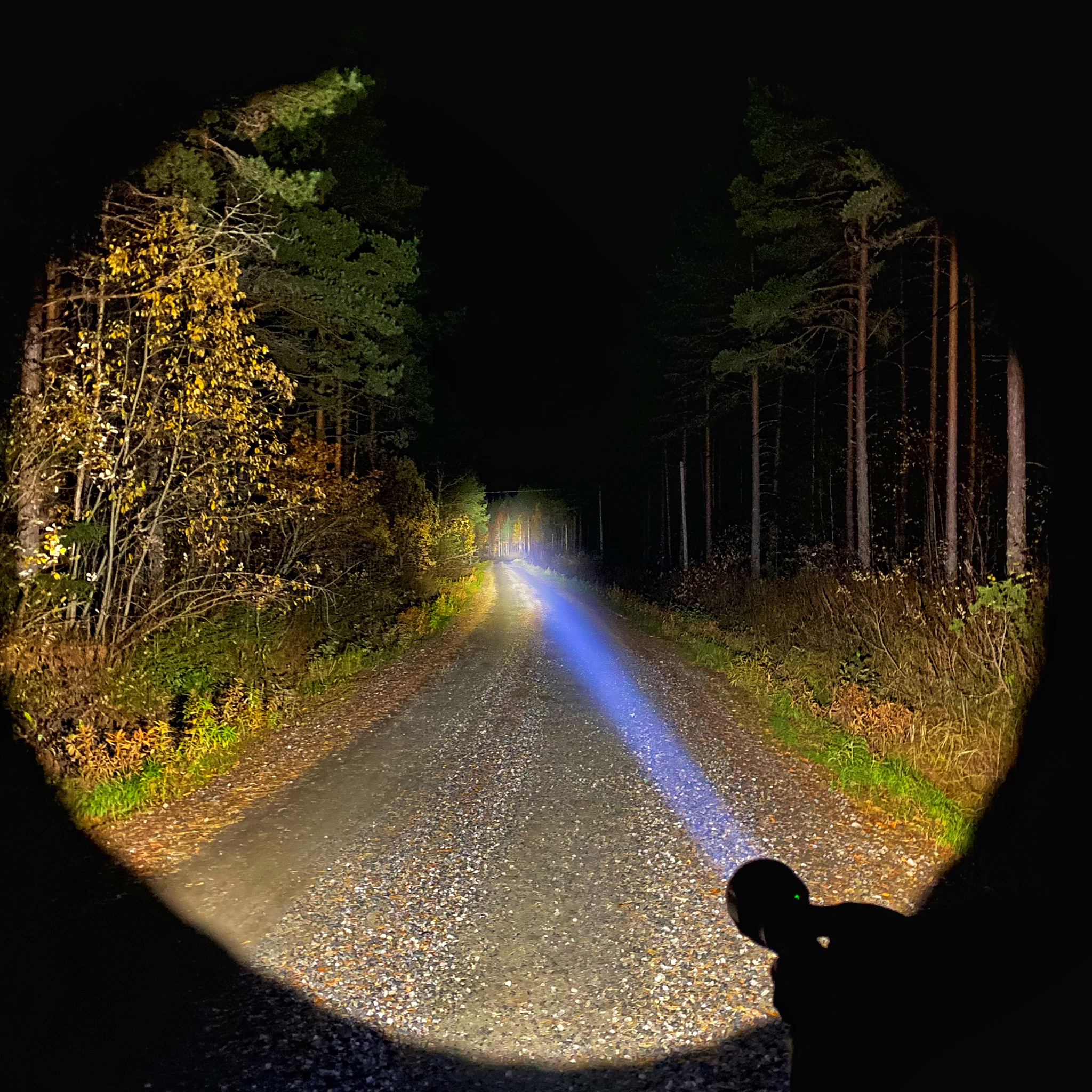 Flashlight Olight Javelot TURBO, 1300 lm Flashlight Olight Javelot TURBO, 1300 lm