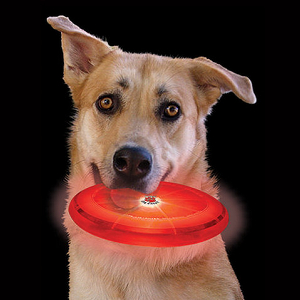LED-frisbee 21cm, "Dog Discuit"